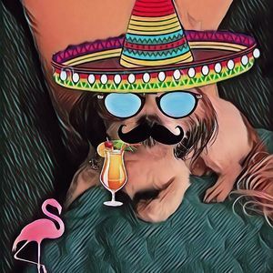 Meet your Posher, Zachery